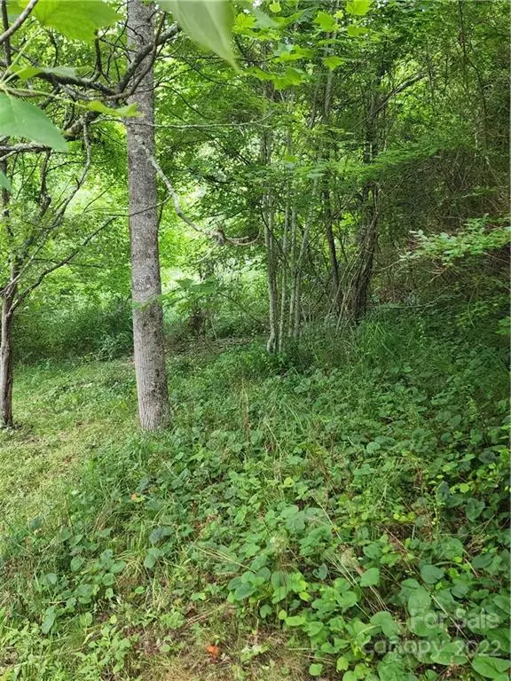 Marshall, NC 28753,1159 Bone Camp RD