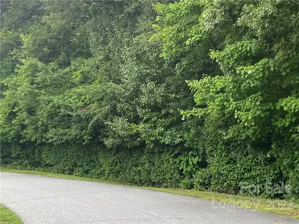 Hickory, NC 28601,Lot 69 Hillcrest LN #69