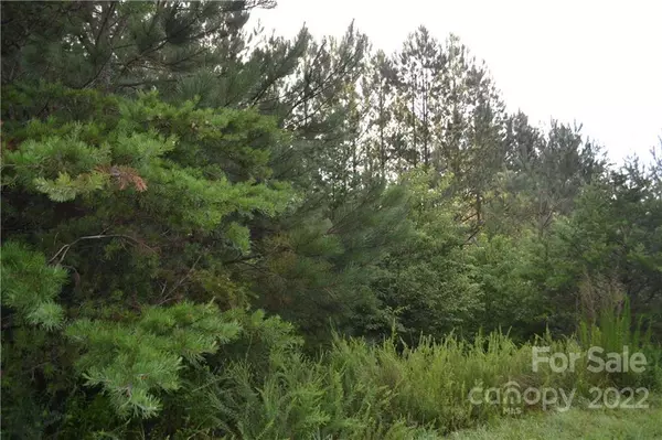 Rutherfordton, NC 28139,0 Spur ALY