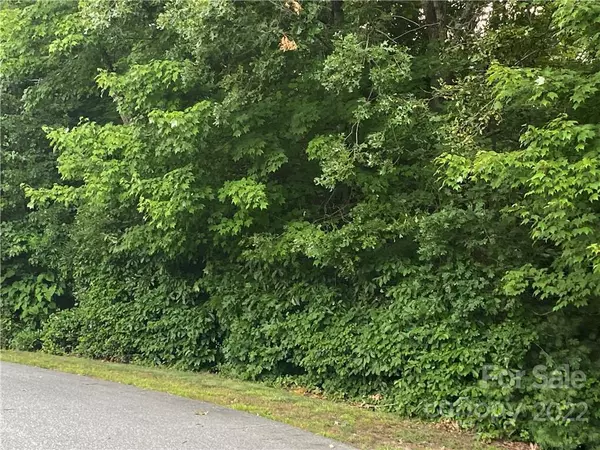 Hickory, NC 28601,Lot 67 Hillcrest LN #67