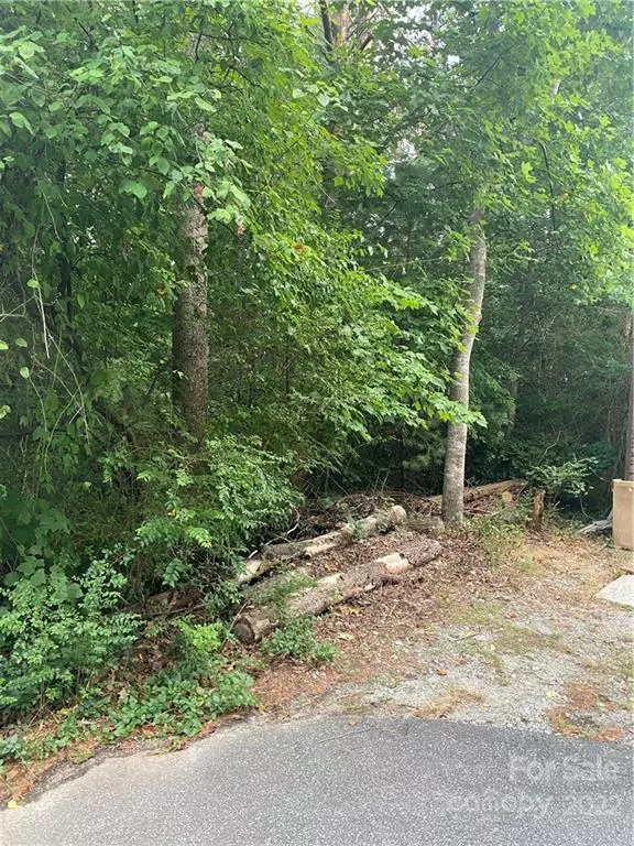 Hickory, NC 28601,Lot 23 Creekside LN #23