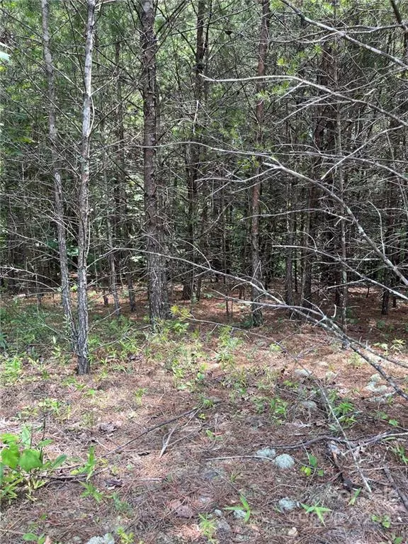 Rutherfordton, NC 28139,0 N Dakota DR #320