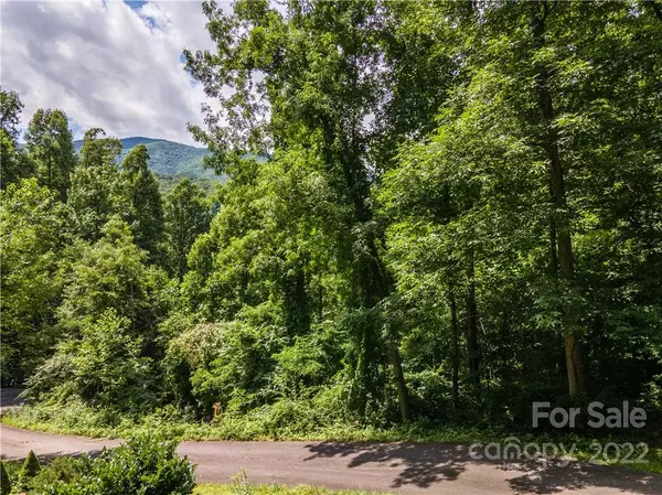 185 Pointer TRL,  Waynesville,  NC 28786