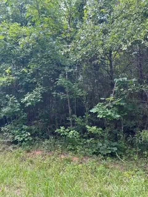 Tract #4 Good RD, Clover, SC 29710