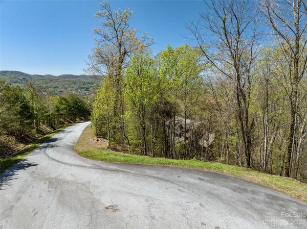 Weaverville, NC 28787,88 courseview DR #239