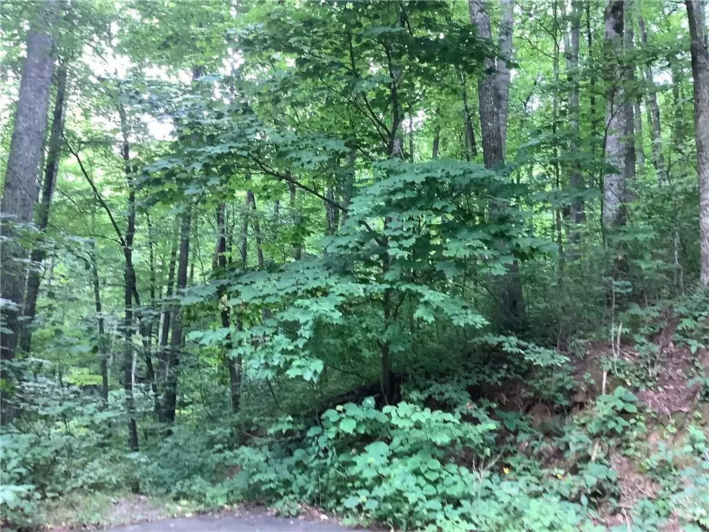 Fairview, NC 28730,99999 Carriage DR #12