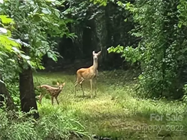 4700 Delight RD, Lawndale, NC 28090