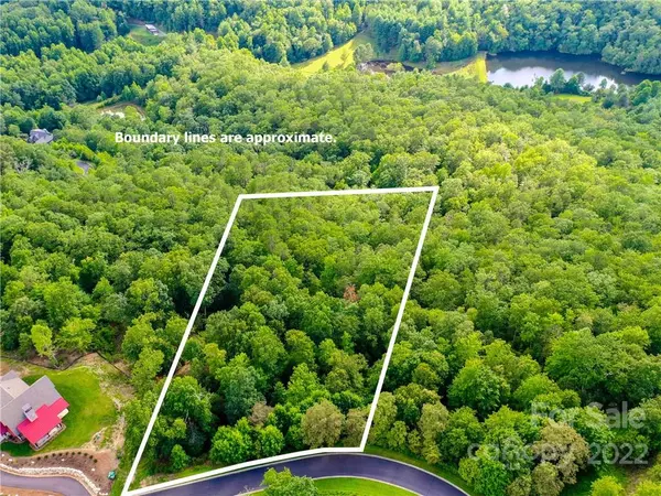 48 Stonefly DR,  Horse Shoe,  NC 28742
