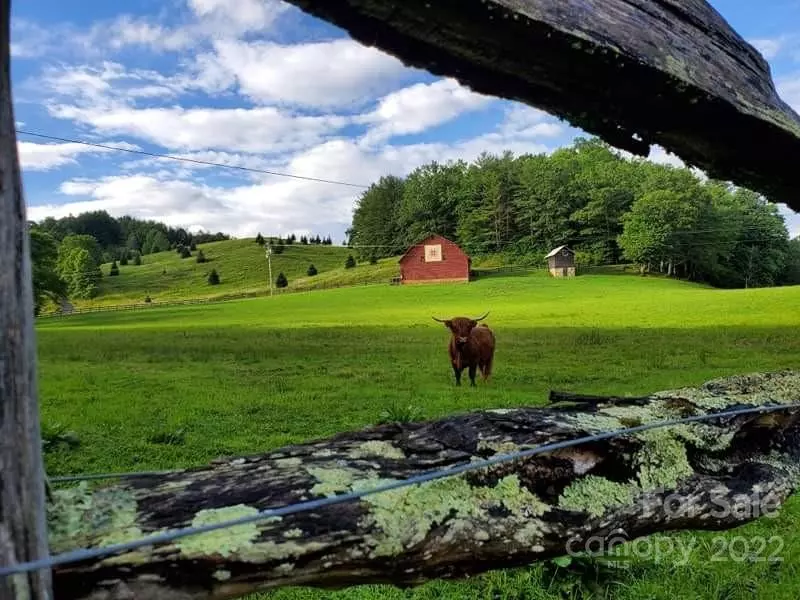 Newland, NC 28657,7222 Linville Falls HWY