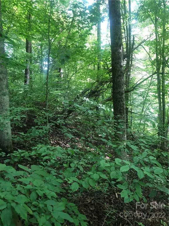 Burnsville, NC 28714,000 NC Hwy 197 HWY #5