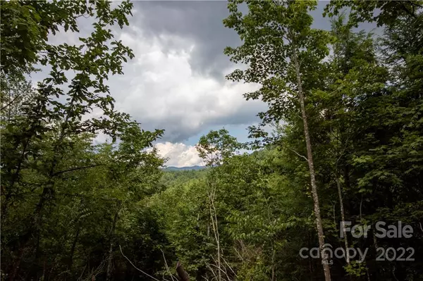 Lenoir, NC 28645,Lot# 561 Misty Rock LN #561