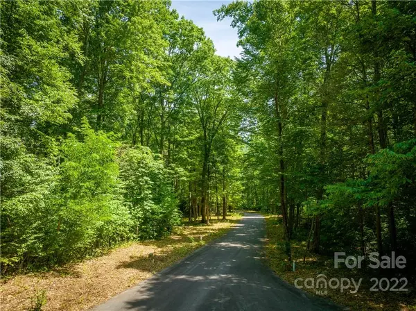 Maggie Valley, NC 28751,Lot 55 Twinbrook LN