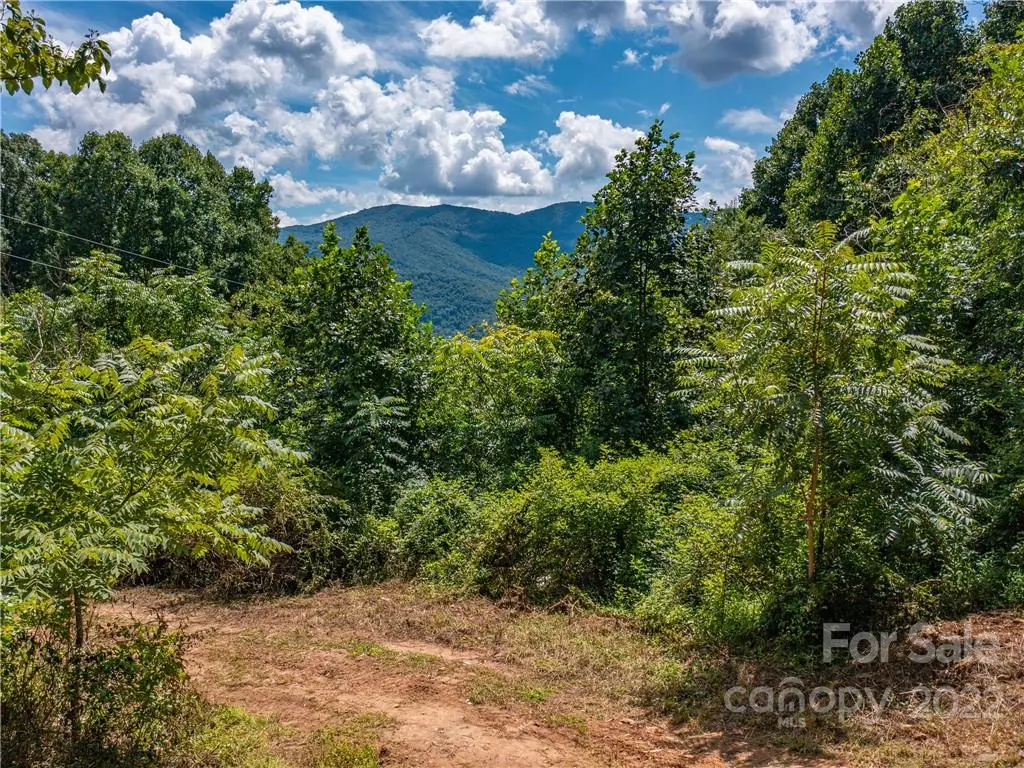 Swannanoa, NC 28778,113, 113A, 99999 Wilson Avenue EXT