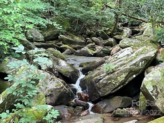 192 Fall Creek DR #23, Chimney Rock, NC 28720