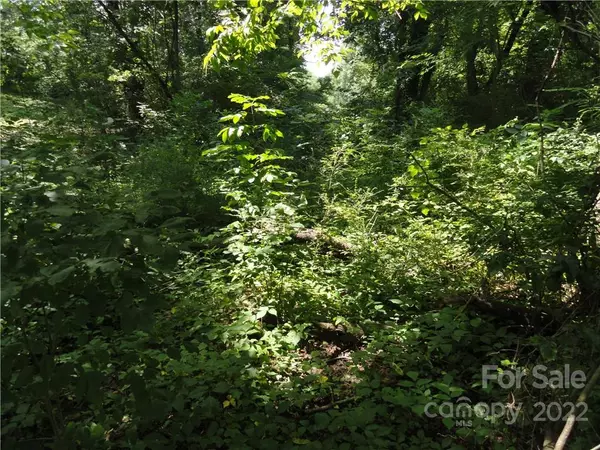 Marion, NC 28752,34 JS McMann DR