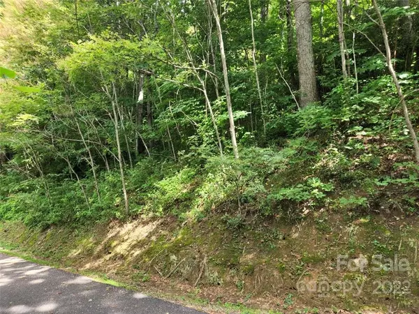 Maggie Valley, NC 28751,00 Heavenview PT #120