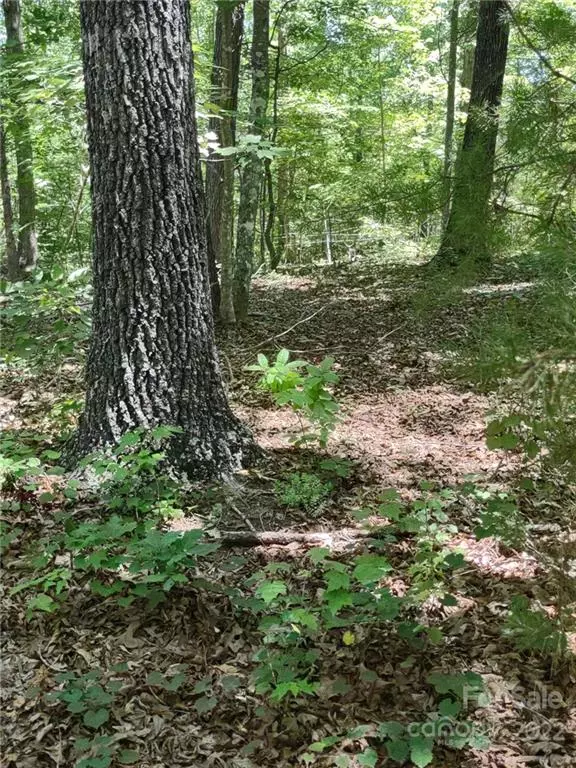 Rutherfordton, NC 28139,216 Emerald Pkwy