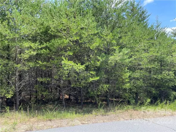 Rutherfordton, NC 28139,0 Hunters Trace TRCE #109