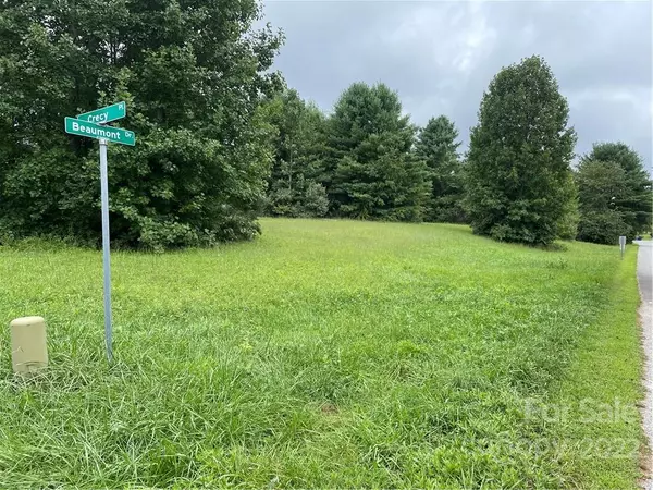 Hendersonville, NC 28739,Lot 37 Crecy PL #37