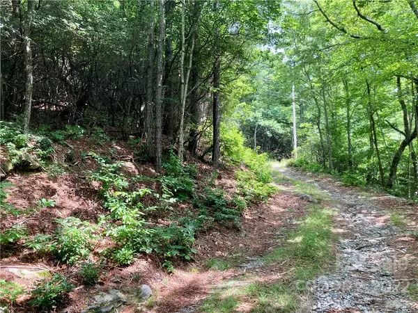 Lake Toxaway, NC 28747,000 Rosman HWY