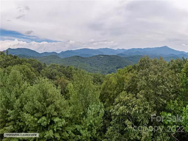 Fairview, NC 28730,0 Lambeth WALK #23