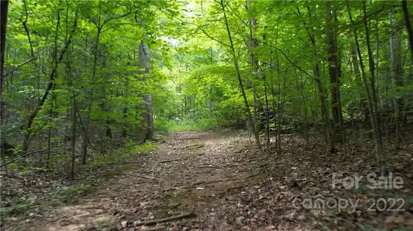 Landrum, SC 29356,43.49 Acres Durham DR