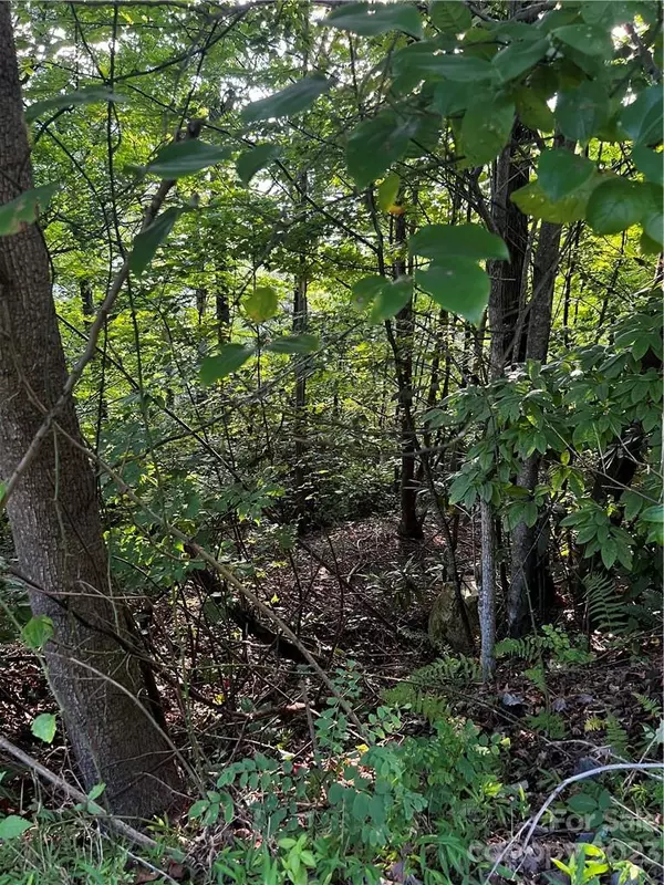 Marion, NC 28752,00 Linville DR #76 & 78 (1/3 Interest)
