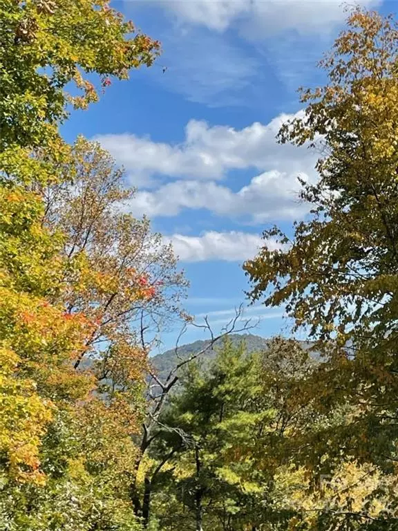 Green Mountain, NC 28740,159 Cow Branch RD
