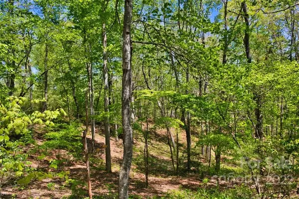 Union Mills, NC 28167,0 Hearthstone DR #73