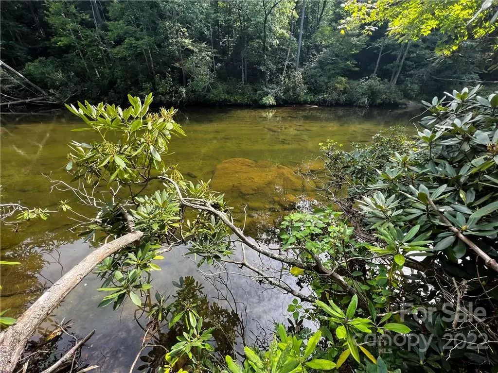 Burnsville, NC 28714,1274 Clearwater LN