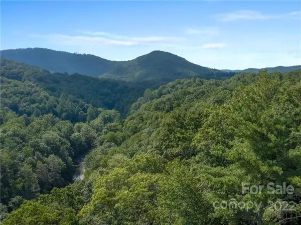 Burnsville, NC 28714,1274 Clearwater LN