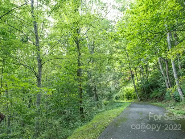 Maggie Valley, NC 28751,00 Ironwood LN #12