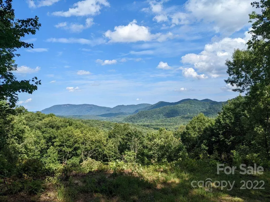 Black Mountain, NC 28711,Lot C-29  133 Nuthatch LN #Lot C-29