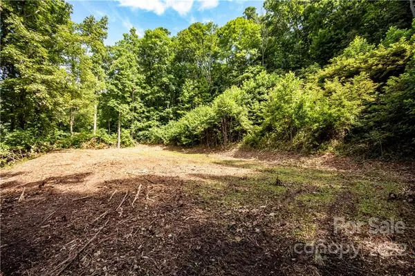 Waynesville, NC 28786,Lot 49 Weatherwatch LN