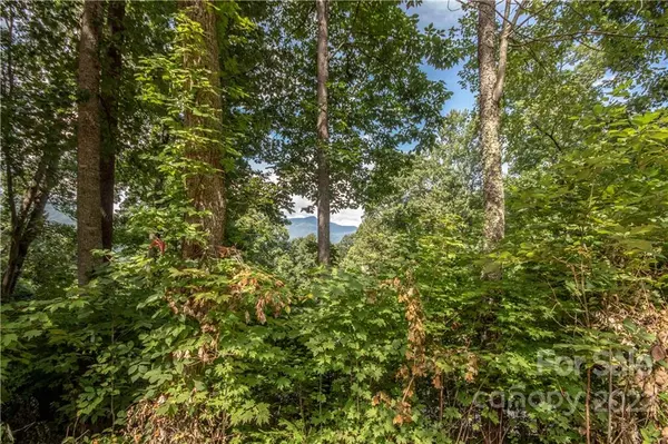 Waynesville, NC 28786,Lot 49 Weatherwatch LN