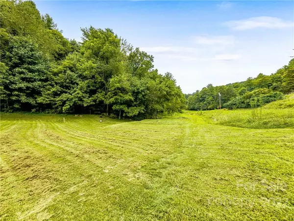 Mars Hill, NC 28754,435 Upper Bailey Branch RD #Tract 1