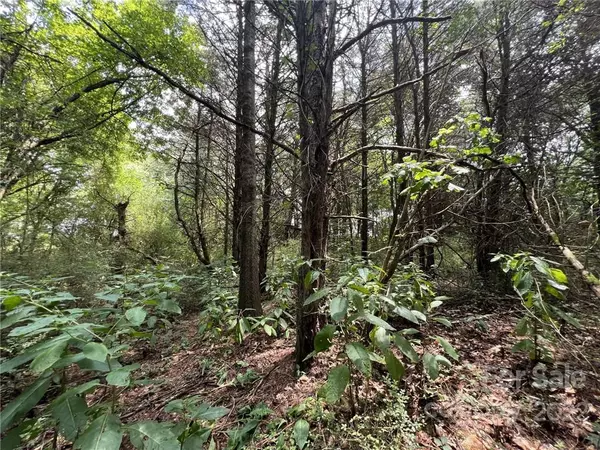 Taylorsville, NC 28681,0 Jeff Price LN