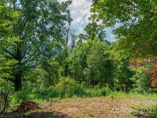 Burnsville, NC 28714,Lot 5 Locust Rough Mountain RD