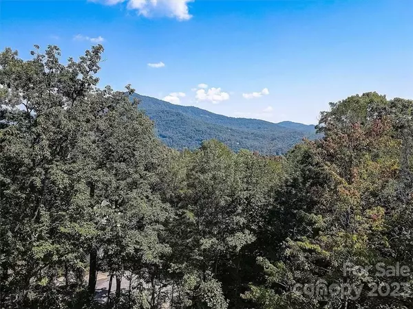 Lake Lure, NC 28746,122 Raptor CT #118