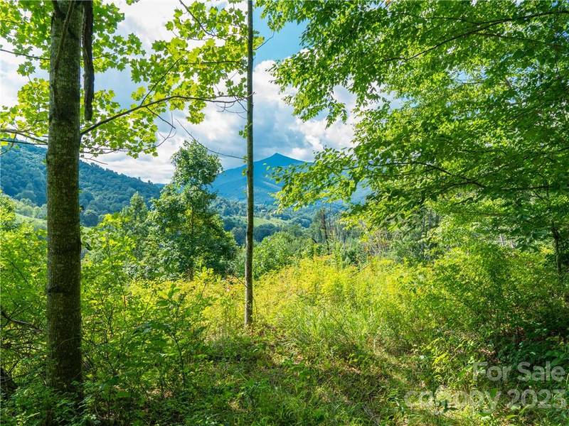 Lot 7 Locust Rough Mountain RD, Burnsville, NC 28714