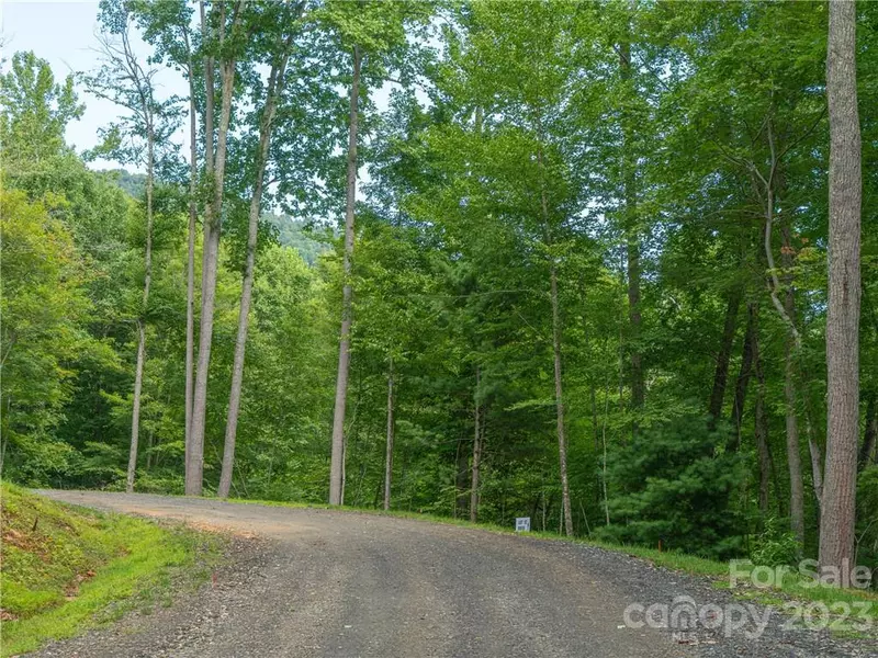 Lot 12 Locust Rough Mountain RD, Burnsville, NC 28714