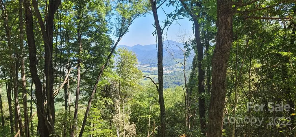 Waynesville, NC 28785,Lot 614 Observation PT