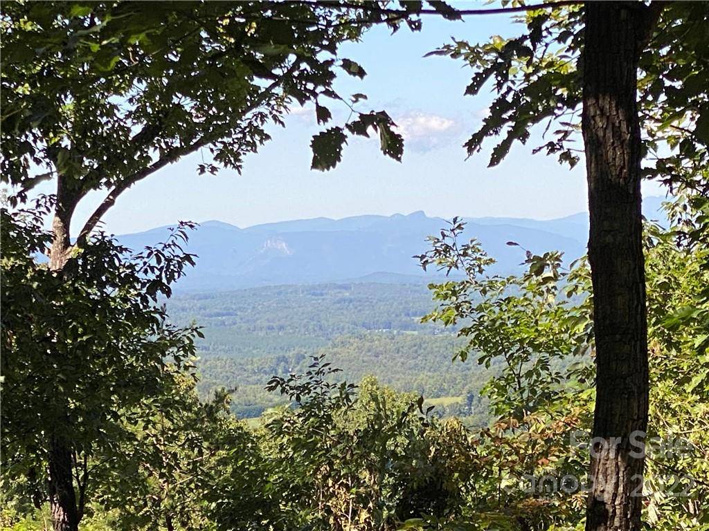 362 Mossy Oak TRL #128, Nebo, NC 28761