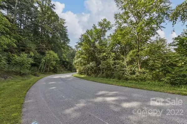 Weaverville, NC 28787,65 Hawtree CT