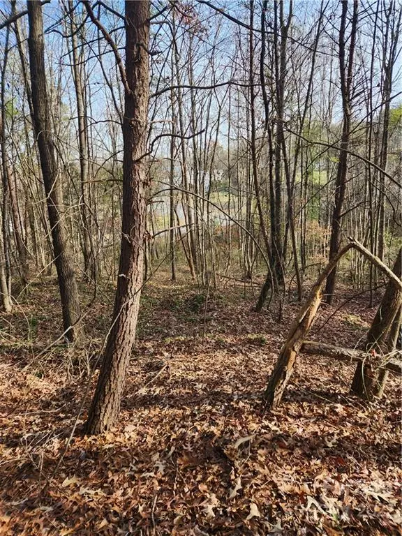 Granite Falls, NC 28630,TBD Dudley Shoals RD