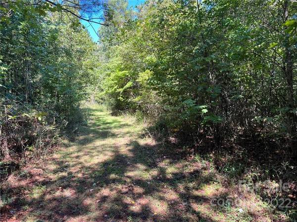 0 Pearidge RD #6, Bostic, NC 28018