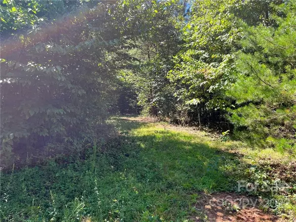 Bostic, NC 28018,Lot 8 Pearidge RD #8