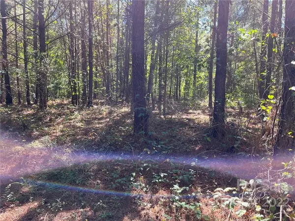 Bostic, NC 28018,0 Pearidge RD #9