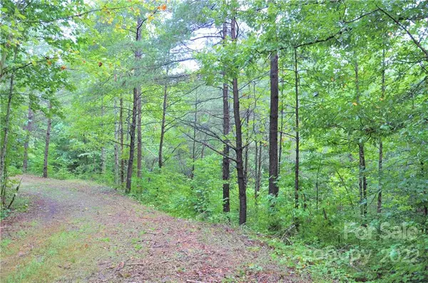 Rutherfordton, NC 28139,306 Observation RDG