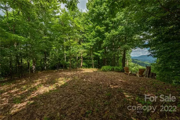 Black Mountain, NC 28711,34 Berry LN #C12